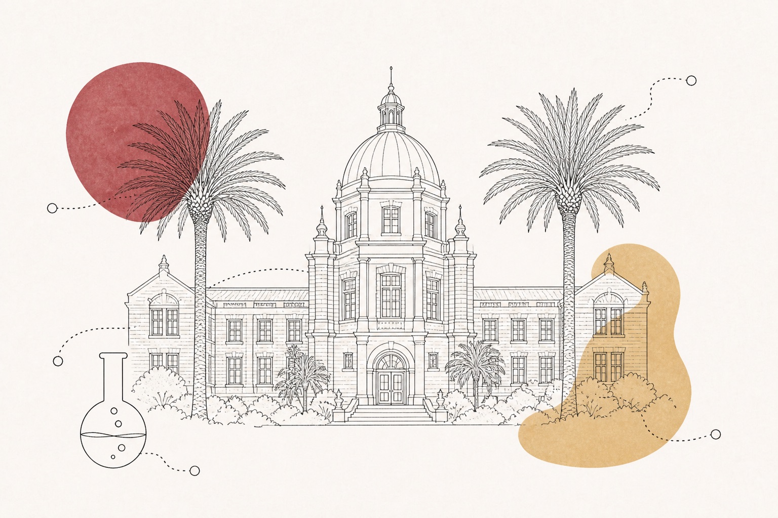 Florida State University illustrated campus cover